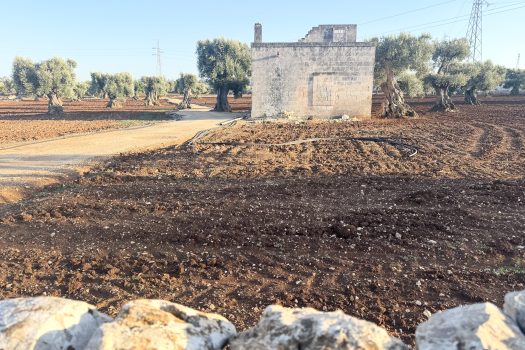 Terreno in vendita a Monopoli – Contrada Mozzo