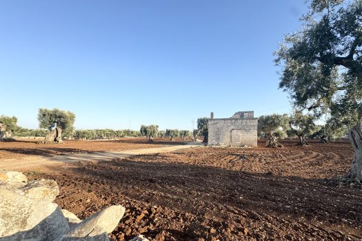 Terreno in vendita a Monopoli – Contrada Mozzo