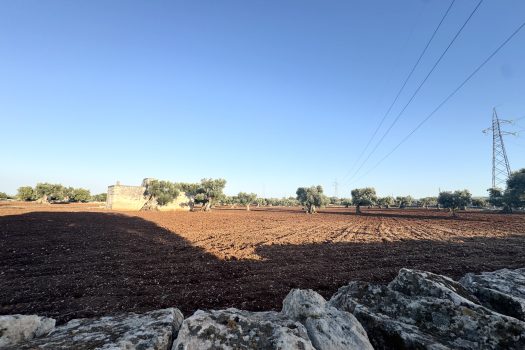 Terreno in vendita a Monopoli – Contrada Mozzo