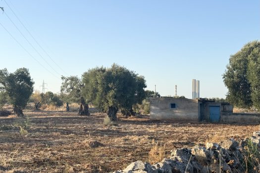 Terreno in vendita a Monopoli – Contrada Mozzo