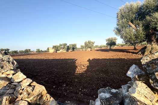 Terreno in vendita a Monopoli – Contrada Mozzo