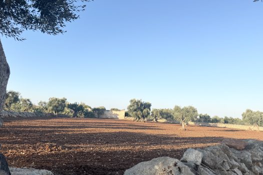Terreno in vendita a Monopoli – Contrada Mozzo